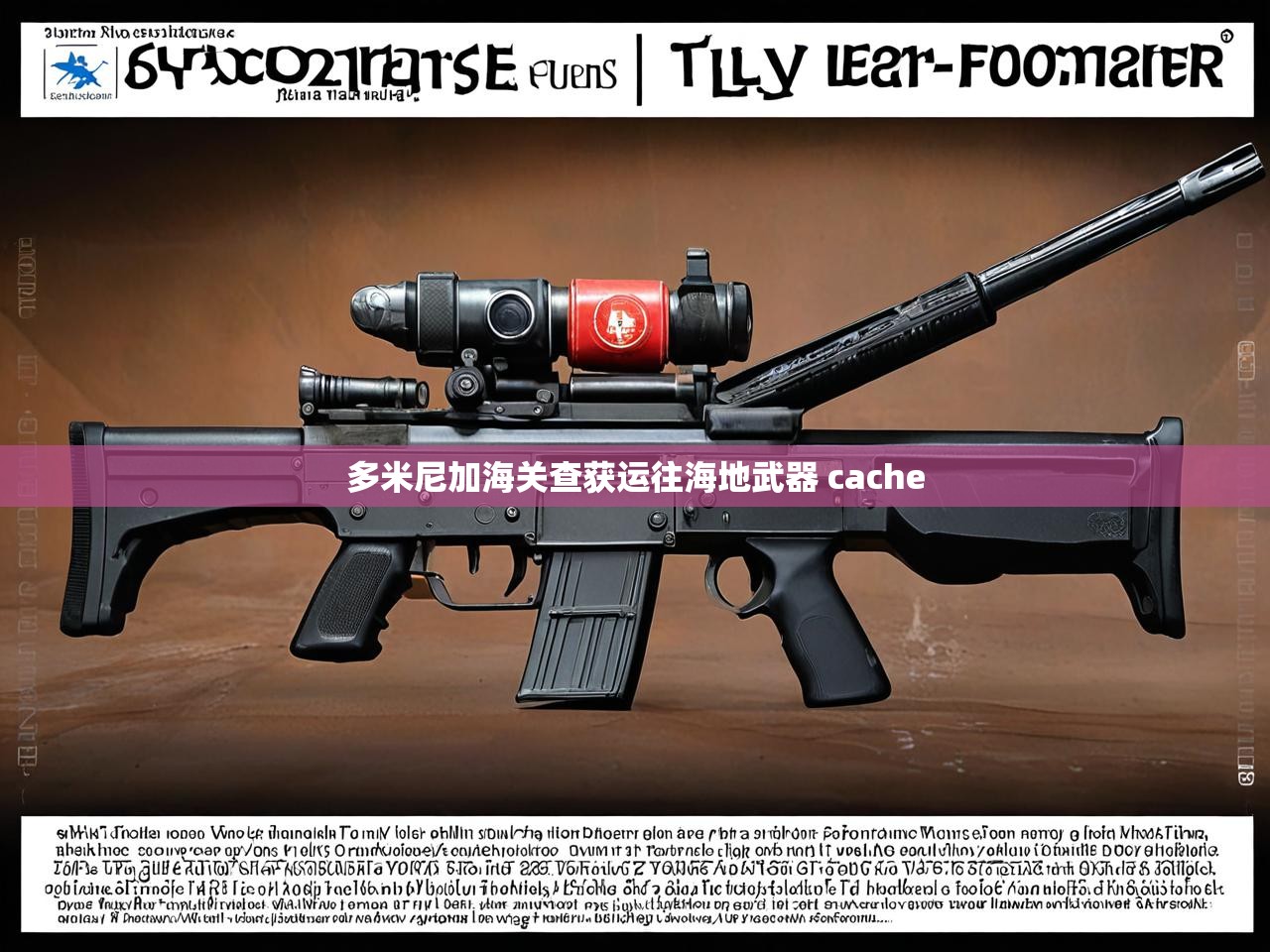 多米尼加海关查获运往海地武器 cache