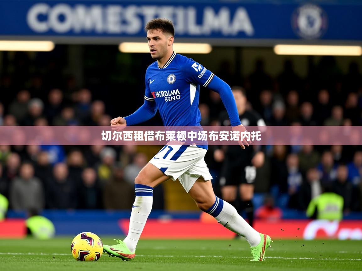 切尔西租借布莱顿中场布安诺内托 切尔西租借布莱顿中场布安诺内托