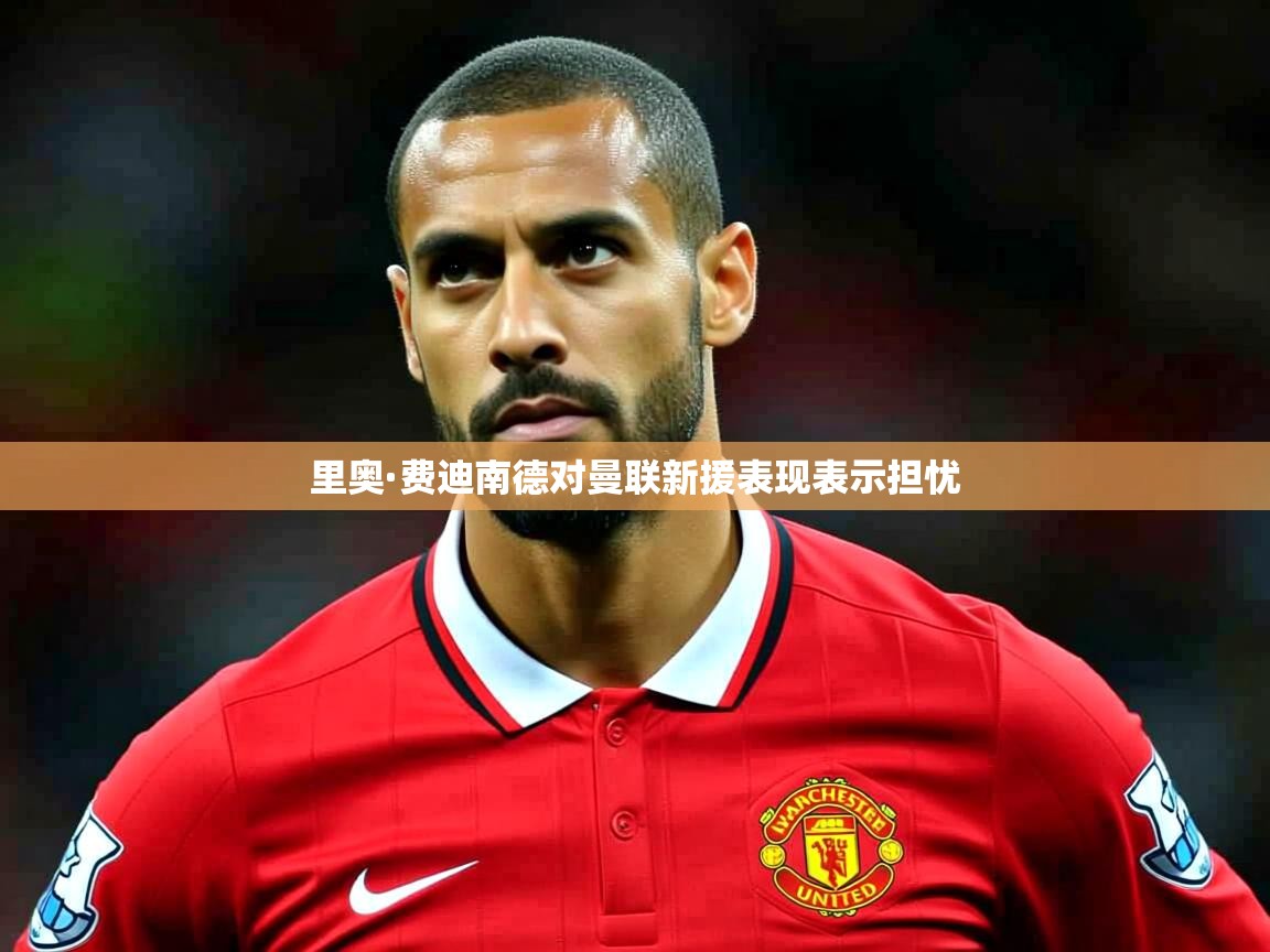 里奥·费迪南德对曼联新援表现表示担忧 里奥·费迪南德对曼联新援表现表示担忧