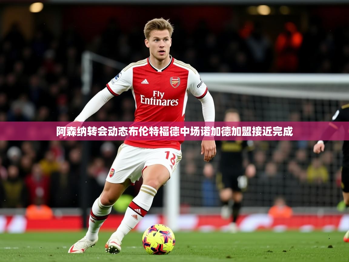 阿森纳转会动态布伦特福德中场诺加德加盟接近完成